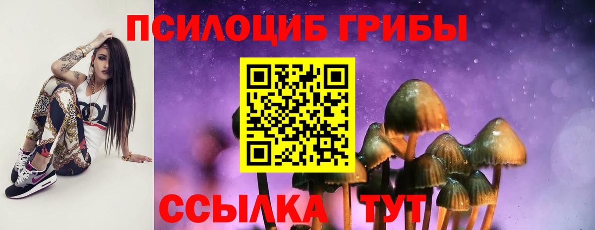 Псилоцибиновые грибы Psilocybine cubensis Медногорск