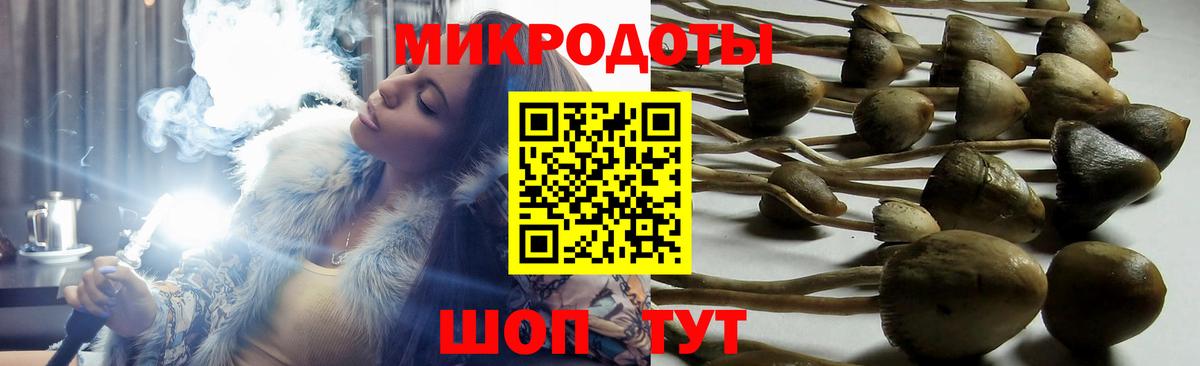 сколько стоит  Вход с VPN  Медногорск  Галлюциногенные грибы мицелий 